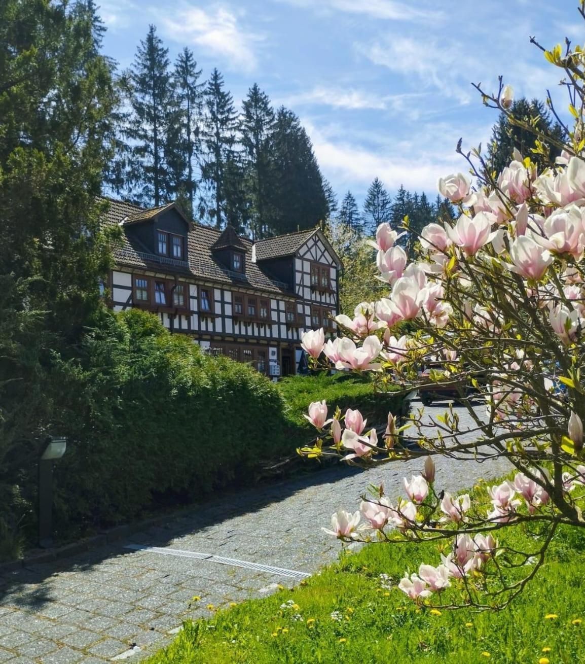 Pension Landhaus Machold フリードリッヒローダ エクステリア 写真