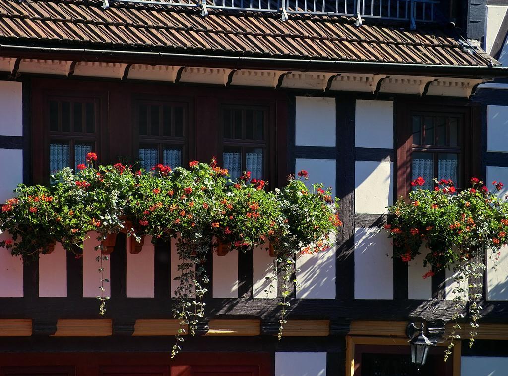 Pension Landhaus Machold フリードリッヒローダ エクステリア 写真